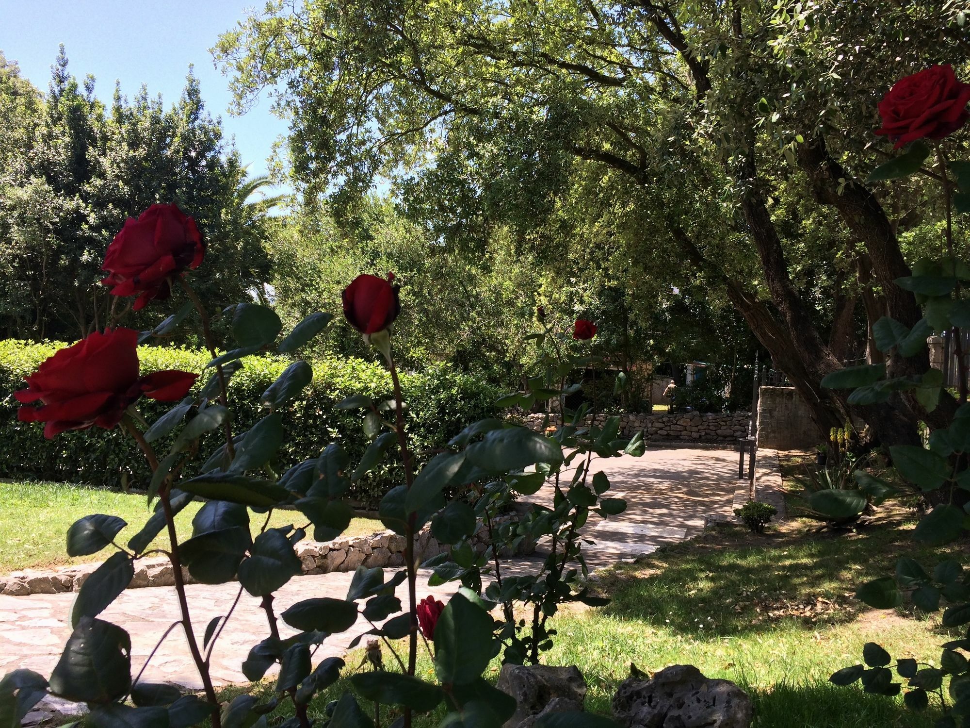 Hotel Posada La Robleda (Adults Only) Арнуеро Екстериор снимка